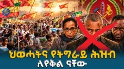 ሕወሓትና የየትግራይ ሕዝብ ለየቅል ናቸው | የድርጅቱን የሥልጣን ፍላጎትና የሕዝቡን የሰላም ጥያቄ የለየው  ፖለቲካዊ እይታ   | EBC | EBCDOTSTREAM
