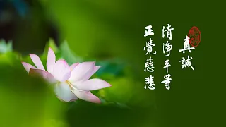 淨空老法師｜大經專修（二）｜什麼是嬰兒行-第0123集