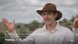 [Bande-annonce] « Aux origines des mammifères, le monde avant les dinosaures »