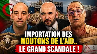Scandale autour de l’importation des moutons de l’Aïd