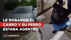 Insólito: Delincuentes se robaron vehículo con mascota adentro en plena luz del día