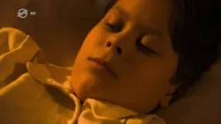 Werk – Romzsa Tódor – Librettó, 2026. január 13.