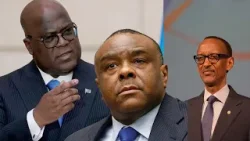 Est de la RDC : Jean-Pierre Bemba serait en préparation d’une mission à Goma Est de la RDC : Jean-Pierre Bemba serait en préparation d’une mission à Goma