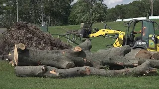 Cleanup continues at New Haven's Lighthouse Point Park after devastating storm