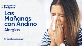Alergias: ¿cómo atenuar sus efectos? - Las Mañanas con Andino
