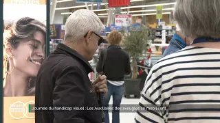 Day of Visual Impairment: Blind Auxiliaries mobilize