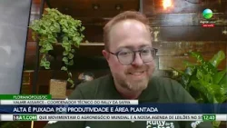 Safra de soja cresce e reforça produção recorde no Brasil