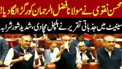 MUST WATCH! Mohsin Naqvi's Historic Speech Against Maulana in Senate - Opposition Stunned!