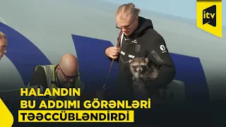 Halandın ABŞ-dən Norveçə gətirdiyi qeyri-adi suvenir
