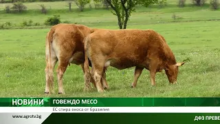 ГОВЕЖДО МЕСО: ЕС спира вноса от Бразилия