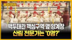 백두대간 핵심구역 옆 양계장...산림 전문가는 '0명?' [세상만사] #백두대간 #양계장 #태백