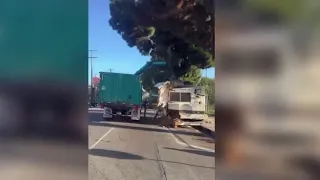 Abandoned RVs being bulldozed in South LA