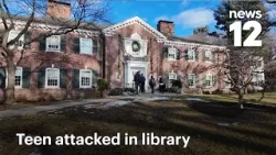 Полиция сообщает, что подросток из Йонкерса получил удар кулаком от женщины из Бронксвилла во вре...