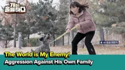 The World is My Enemy! Aggression Against His Own Family [Dogs Are Incredible] | KBS WORLD TV 260331