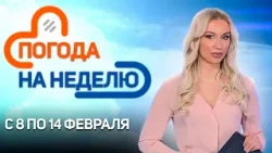УСИЛЕНИЕ МОРОЗОВ И ГОЛОЛЕДИЦА | Погода в Беларуси с 8 по 14 февраля | Плюс-минус