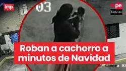 Cámara de seguridad graba a mujer robando a perrito a pocos minutos de Navidad