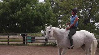 'Stunt horse deluxe': Meet the Colo. horse that appears on the Broncos' jumbotron