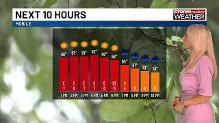Fantastic Friday for the Gulf Coast