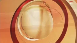 ملخص أشواط اليوم 29 ديسمبر 2025 - مهرجان محمد بن زايد لسباقات الهجن