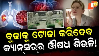 Can Seaweed Help Fight Cancer & Protect Skin? Odisha Researchers Discover New Possibilities