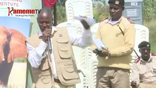 KAMEME_082612_7PM_PKG_WORLD ELEPHANT DAY-WAWIRA