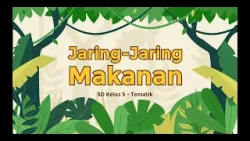 Jaring-Jaring Makanan