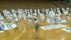 Fehérvár Karate 50