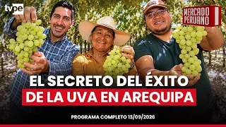 peruvianmarket 1309