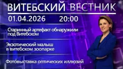 Витебский вестник. Новости: награды дружинникам, историческая находка, новый житель зоопарка