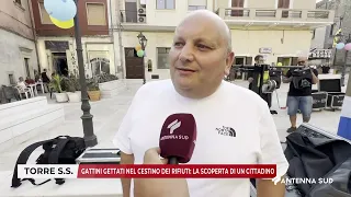 23 LUGLIO 2026   TORRE SANTA SUSANNA BR   GATTINI GETTATI NEL CESTINO DEI RIFIUTI LA SCOPERTA DI UN