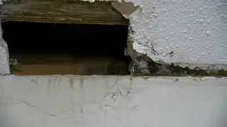 Mom's months-long fight over water leak in Cary apartment ends