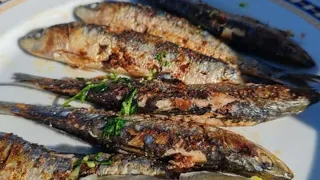 Indio Moctezuma Sardines: The gourmet recipe that arrived in Nicaragua 60 years ago
