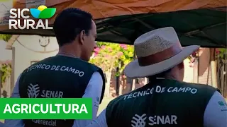 Knowledge exchange and access to new technologies mark field day in Cacoal