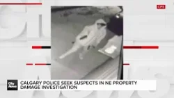 Calgary Police seek suspects in NE  property damage investigation