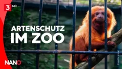 Zoos: Noah's Ark for the Modern Age? | NANO