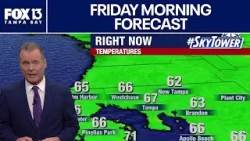 Погода в Тампе | Прогноз на утро пятницы