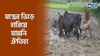যন্ত্রের ভিড়ে হারিয়ে যায়নি ঐতিহ্য