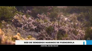 Fuengirola Television News 07-02-2026