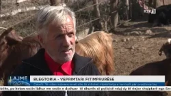 Cakolli: Mbarështimi i dhive dhe i deleve është fitimprurës