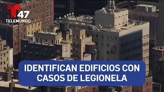 Identifican edificios con casos de legionela en NYC