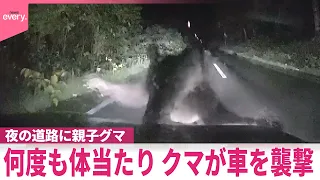 【クマ】何度も体当たり…車を襲撃  夜の道路に親子グマ  北海道美深町