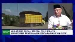 B50 Dimulai 1 Juli, Petani Sawit Siap Penuhi Kebutuhan 19 Juta Ton CPO