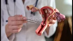 NOVA - KARCINOM GRLIĆA MATERICE UZIMA DANAK, Željka Mirković (20.01.2026.) NOVA - KARCINOM GRLIĆA MATERICE UZIMA DANAK, Željka Mirković (20.01.2026.)