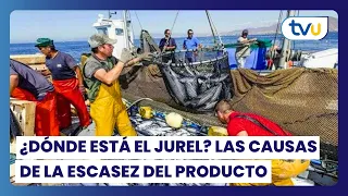 Where is the jack mackerel? The causes behind the product shortage