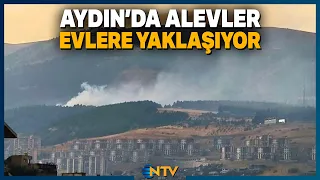 Breaking News: Fire in Aydın Approaches Homes! Efforts to Contain Flames Continue | NTV