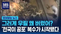 아파트 단지까지 따라오더니…그들의 복수가 시작됐다 / SBS / 모아보는 뉴스
