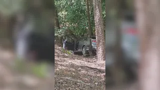 77-year-old woman rescued from car crash in Hot Springs after neighbor follows sound of honking