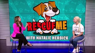 Rescue Me: Parma Animal Shelter