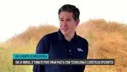 From Field to Factory | In 24 hours, tomatoes can turn into paste with efficient technology and l...
