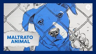 Animal Abuse | #Trending